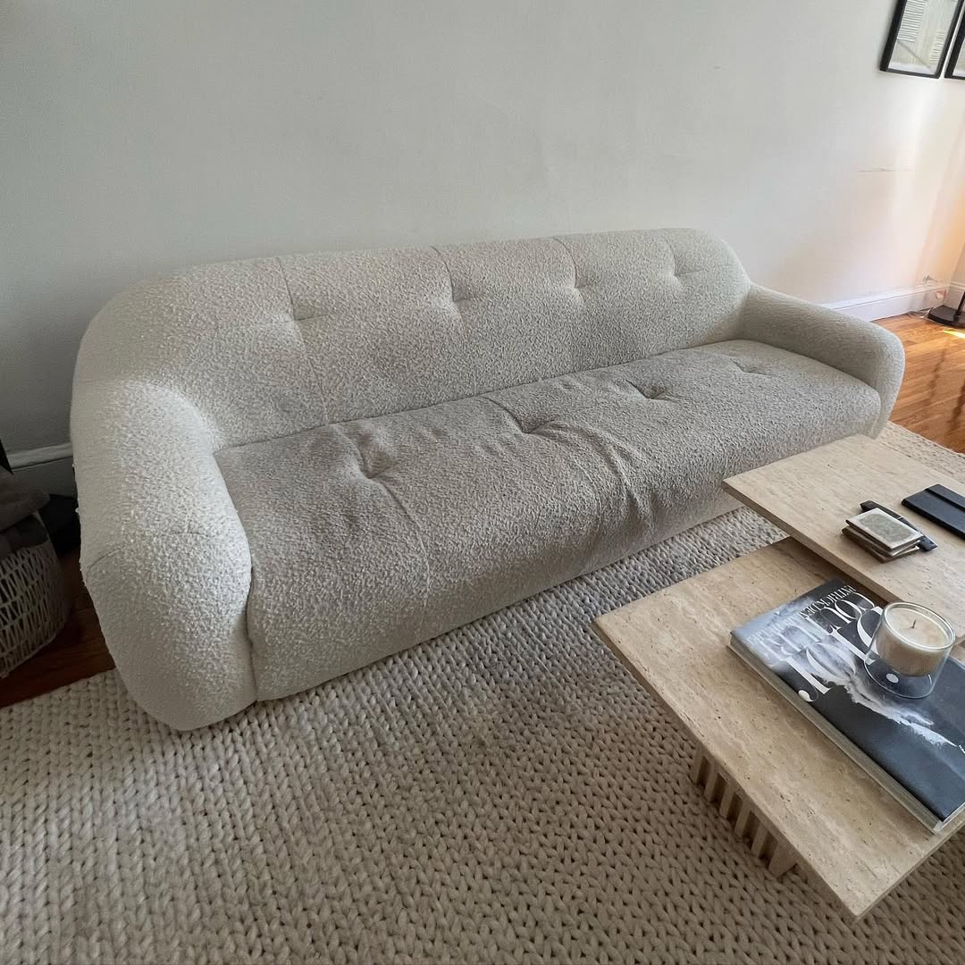 Couch and Carpet Cleaning
